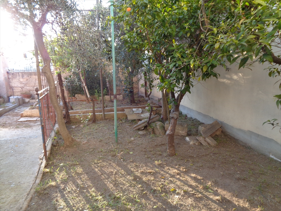 immagine annuncio 3 di 6