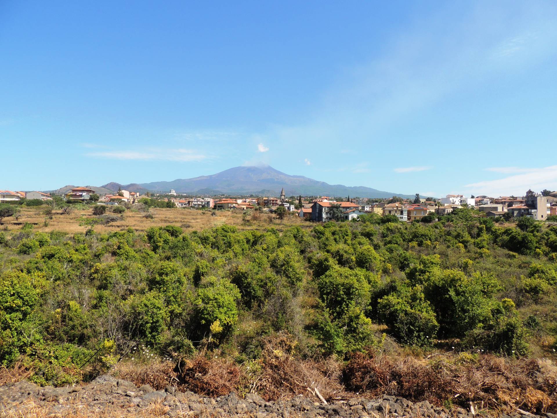 Terreno Agricolo in vendita a Mascalucia, Centro Storico (Via Etnea/Via Roma....)