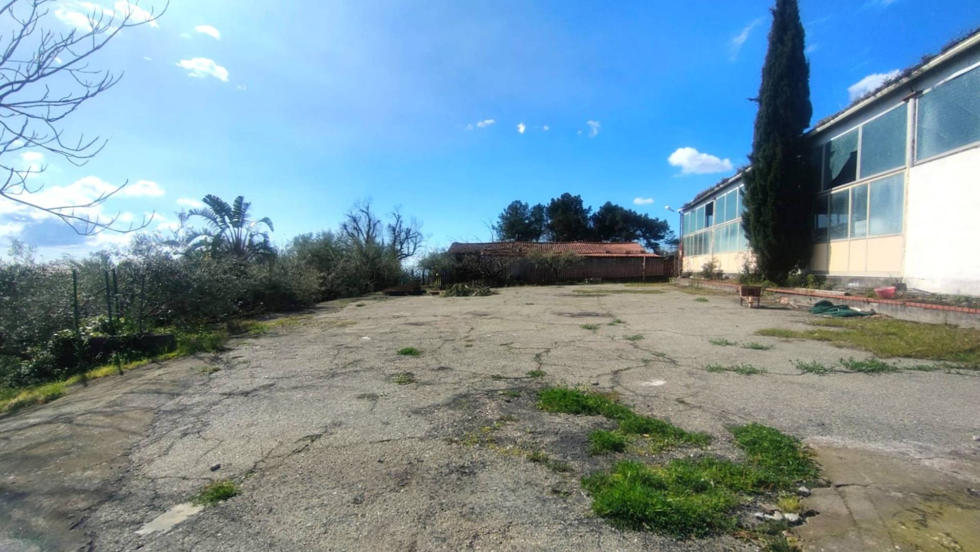 Casa singola in affitto a Zafferana Etnea, Poggiofelice