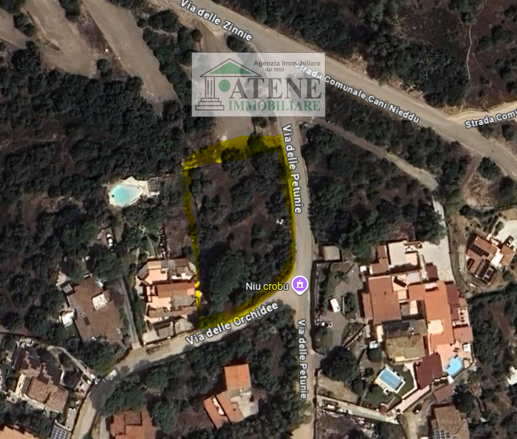 immagine annuncio 1 di 2