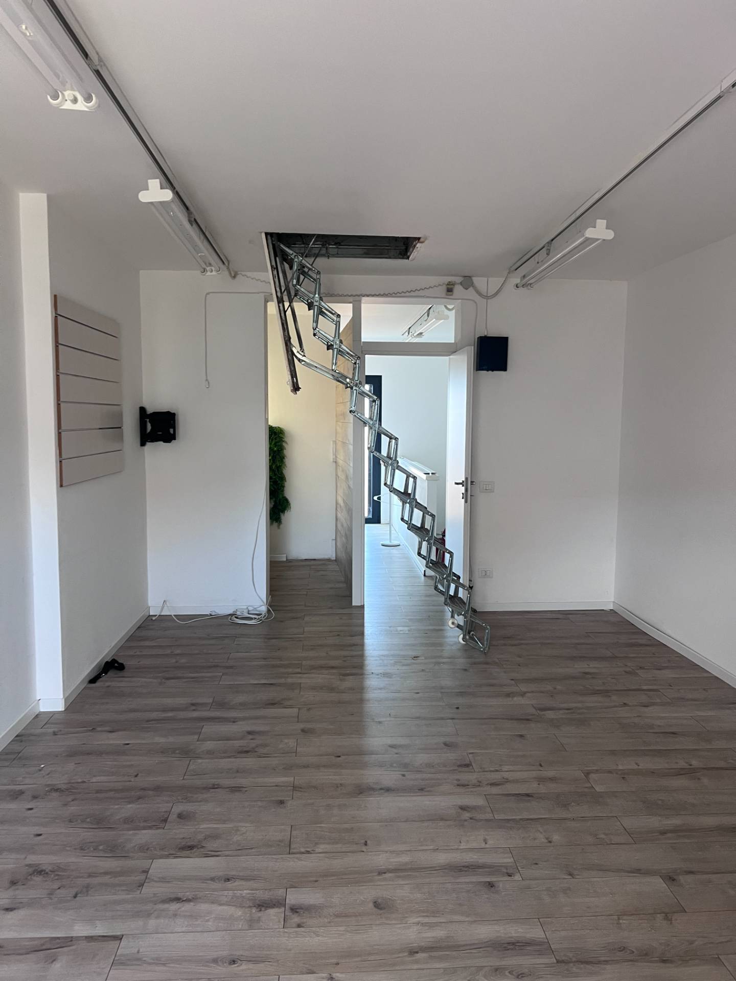 Locale commerciale in affitto a Viareggio, Lungo Mare