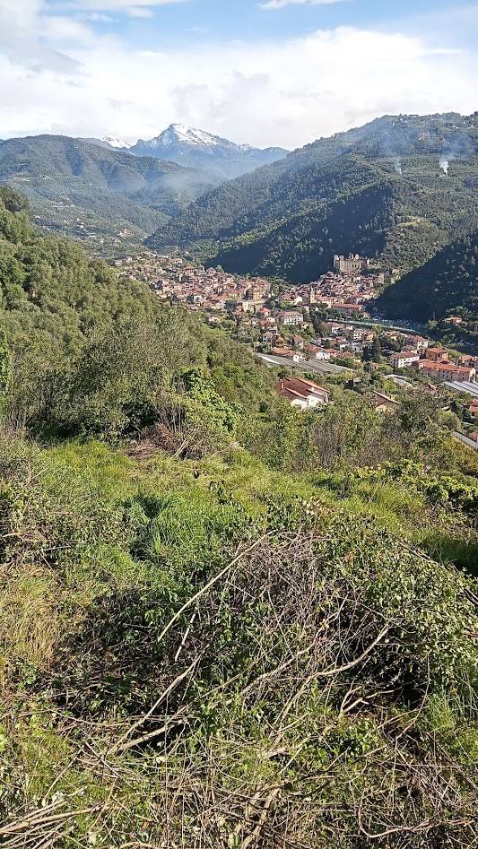 Terreno in vendita a Dolceacqua