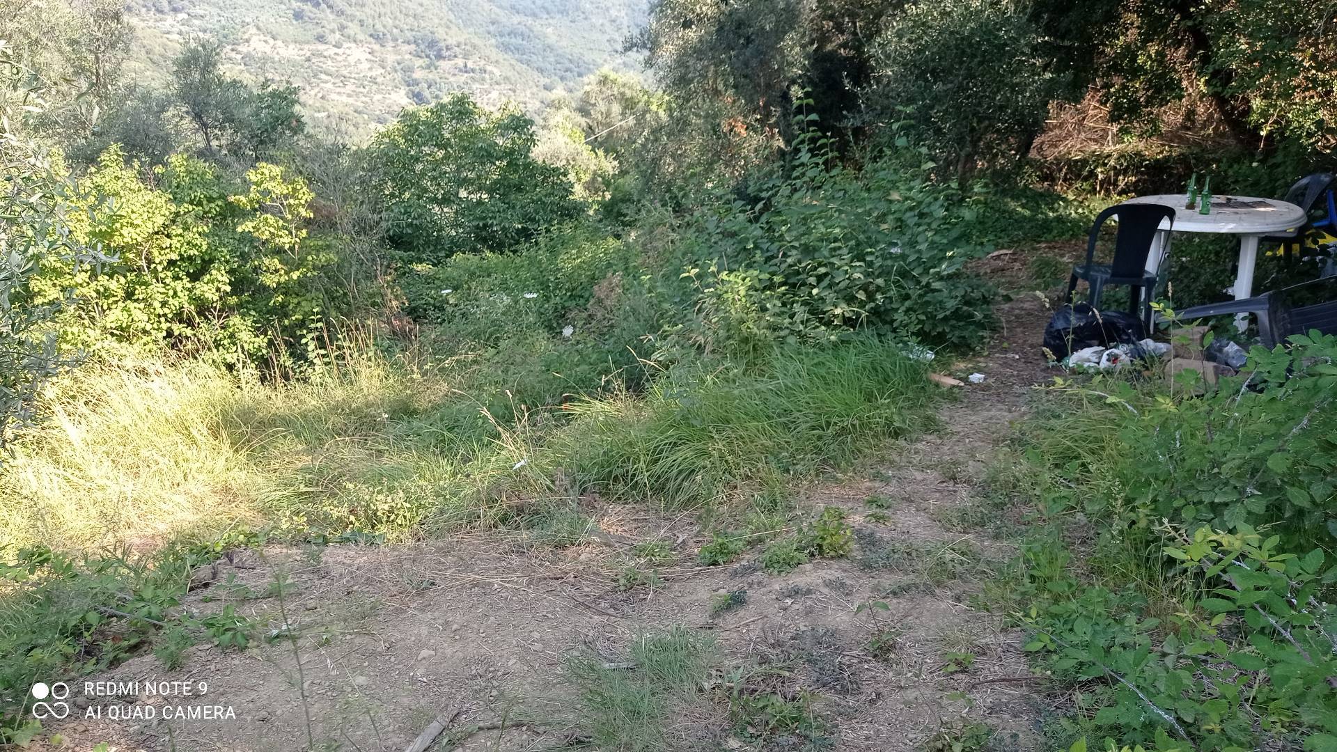 immagine annuncio 2 di 6