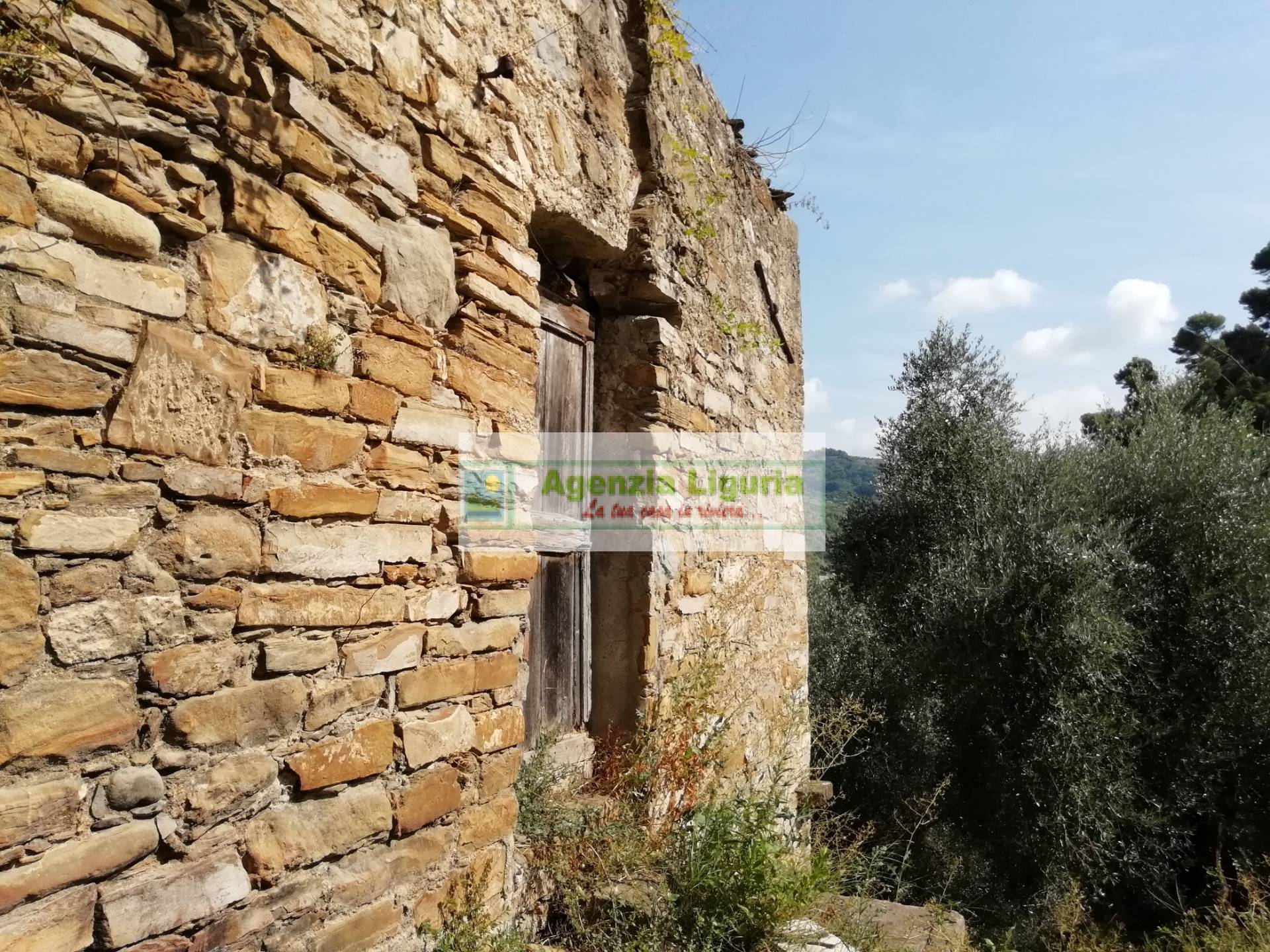 immagine annuncio 3 di 6