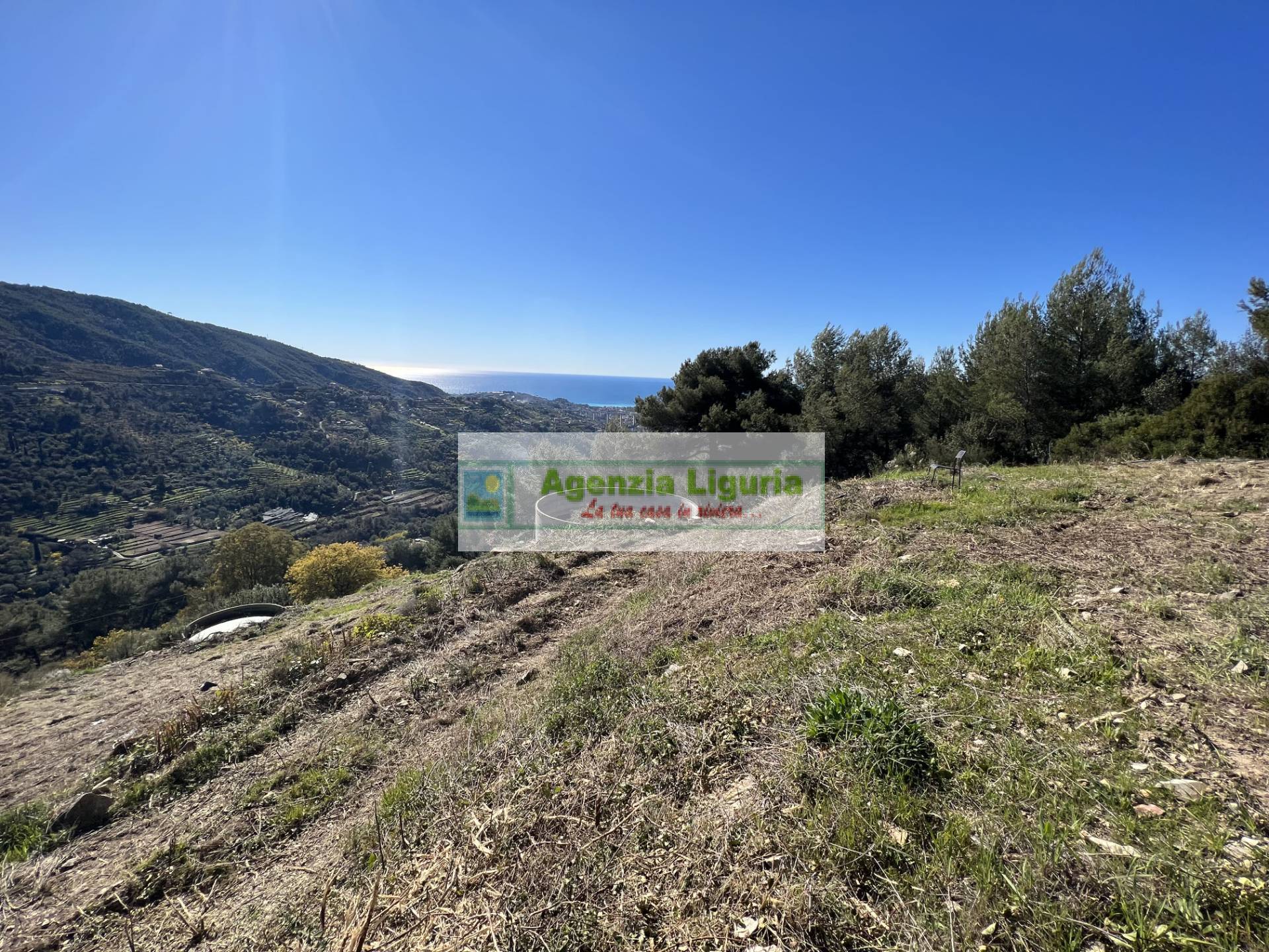 immagine annuncio 5 di 6