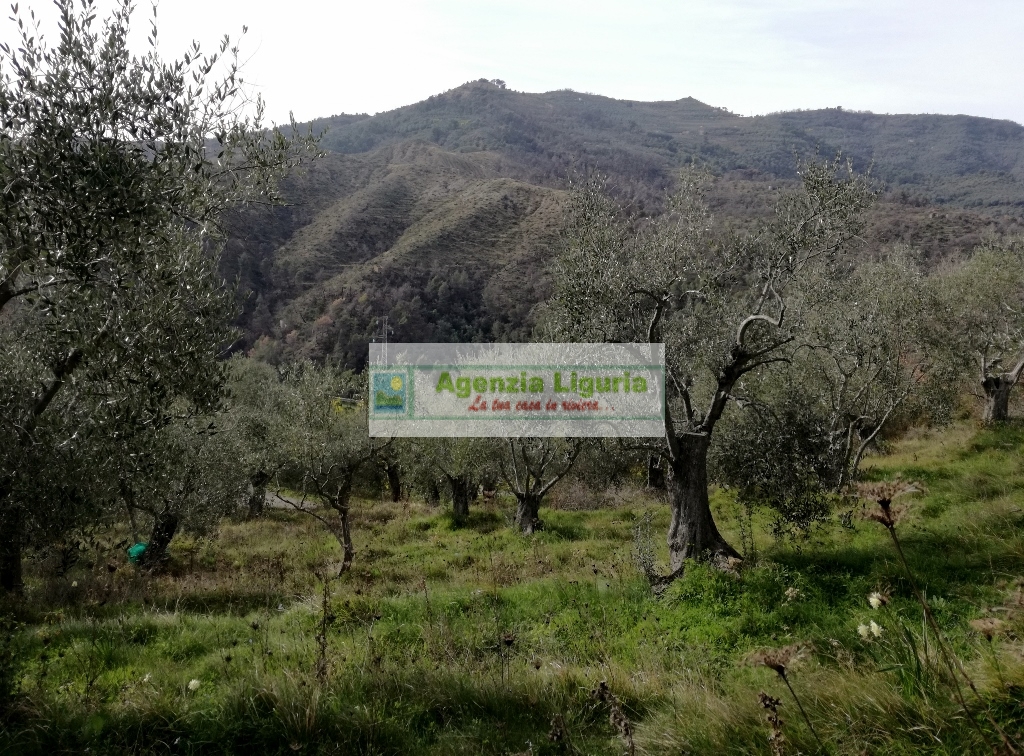 Rustico in vendita a Perinaldo, Suseneo