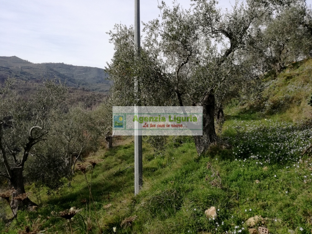 Rustico in vendita a Perinaldo, Suseneo