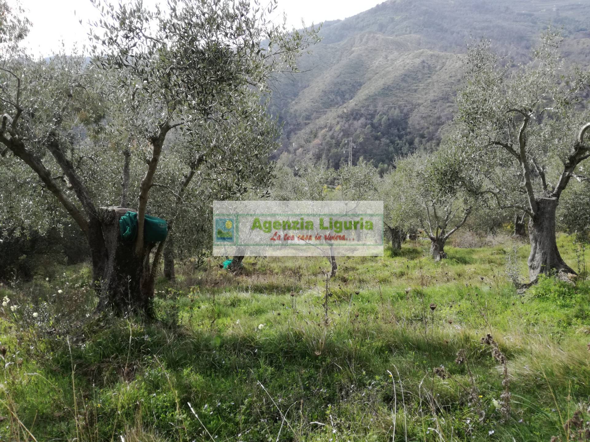 Rustico in vendita a Perinaldo, Suseneo