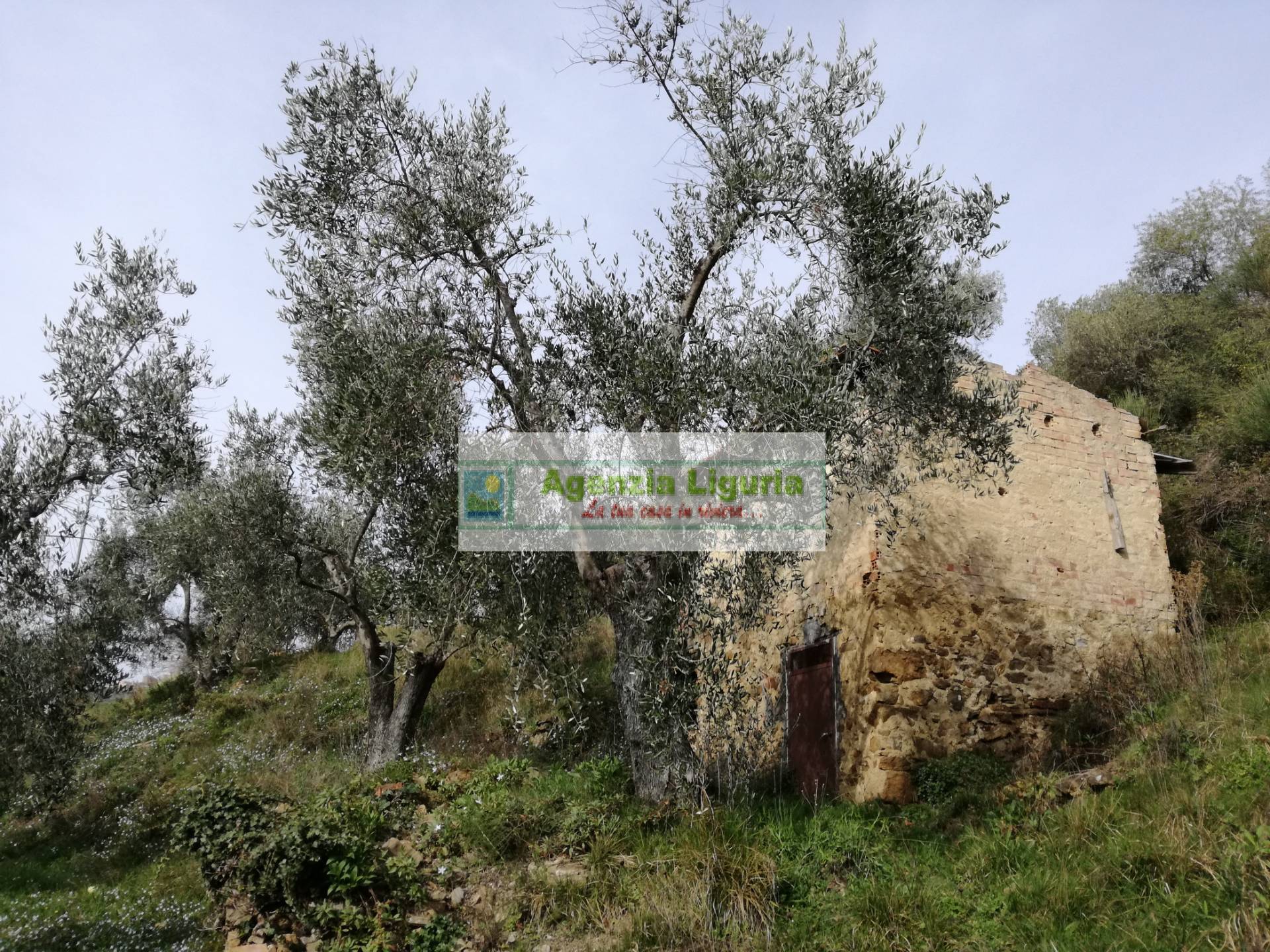 Rustico in vendita a Perinaldo, Suseneo