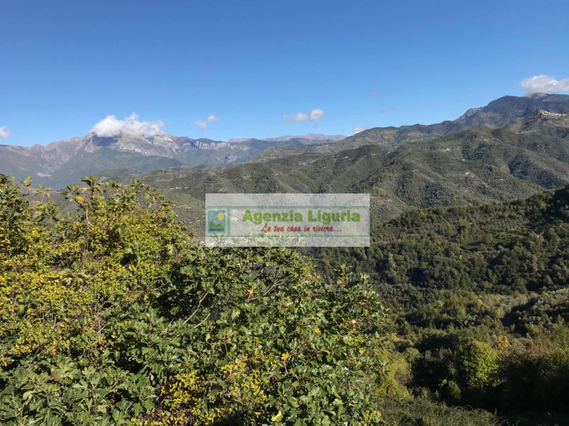 Appartamento in vendita a Perinaldo