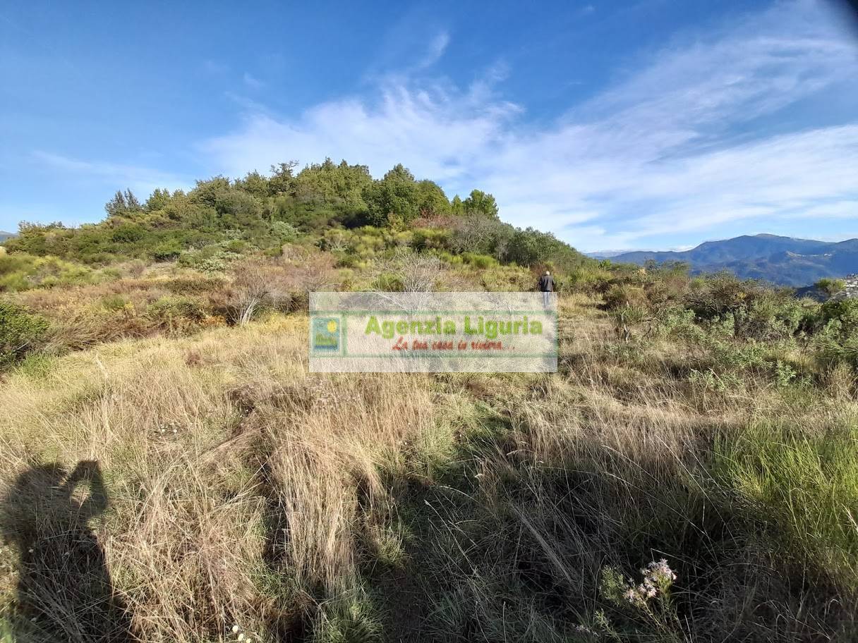 Rustico con Terreno in vendita a Dolceacqua
