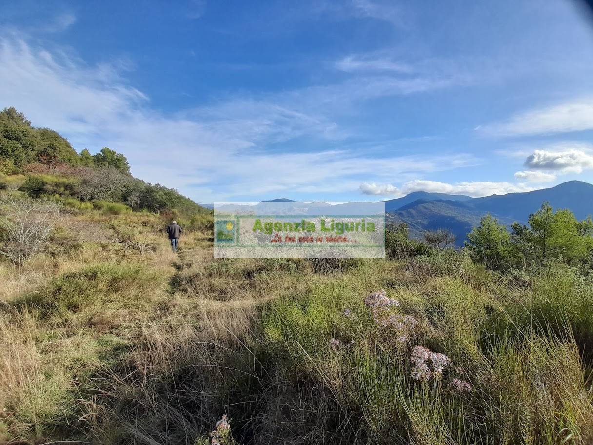 Rustico con Terreno in vendita a Dolceacqua