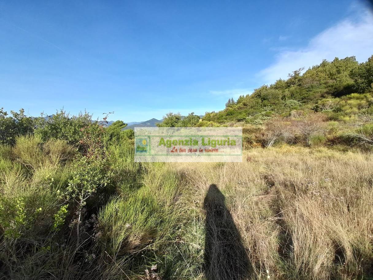 Rustico con Terreno in vendita a Dolceacqua