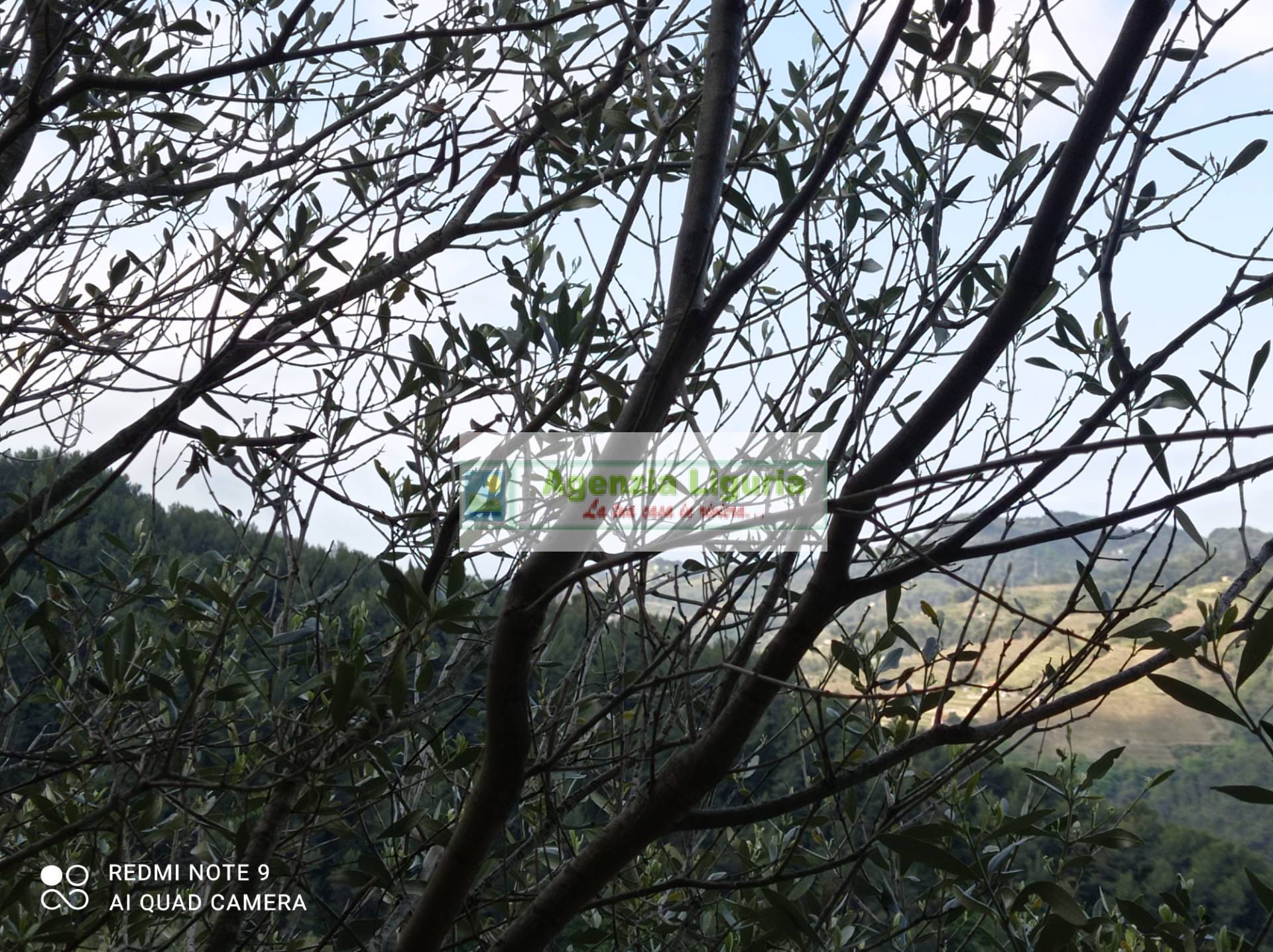 Rustico in vendita a Perinaldo, Suseneo