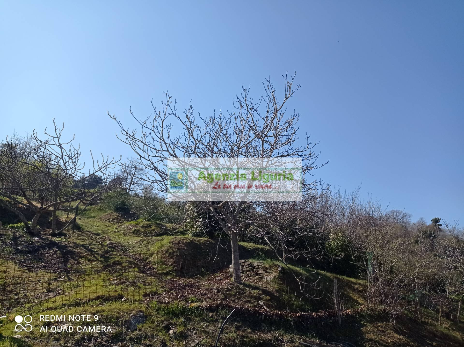 Villa in vendita a Perinaldo