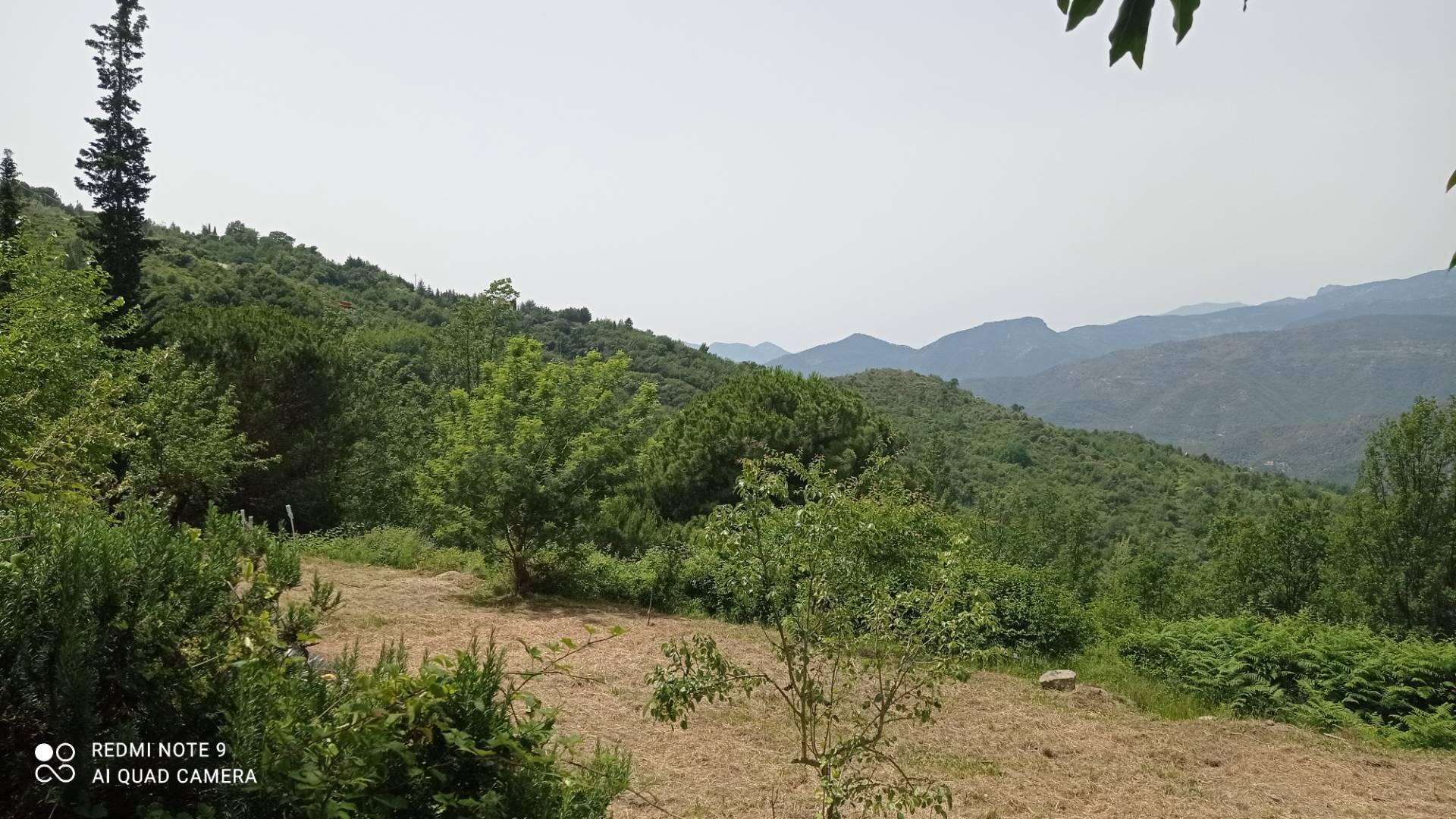 Casa indipendente in vendita a Perinaldo