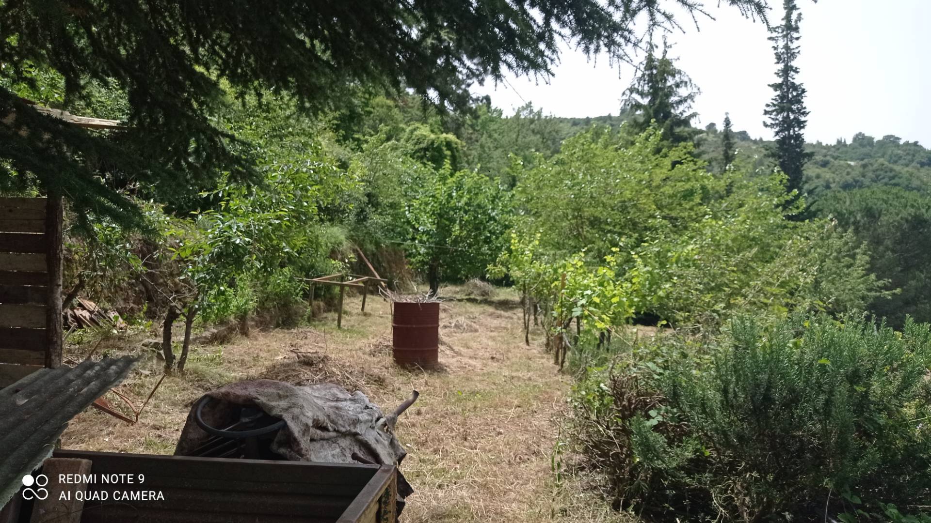 Casa indipendente in vendita a Perinaldo