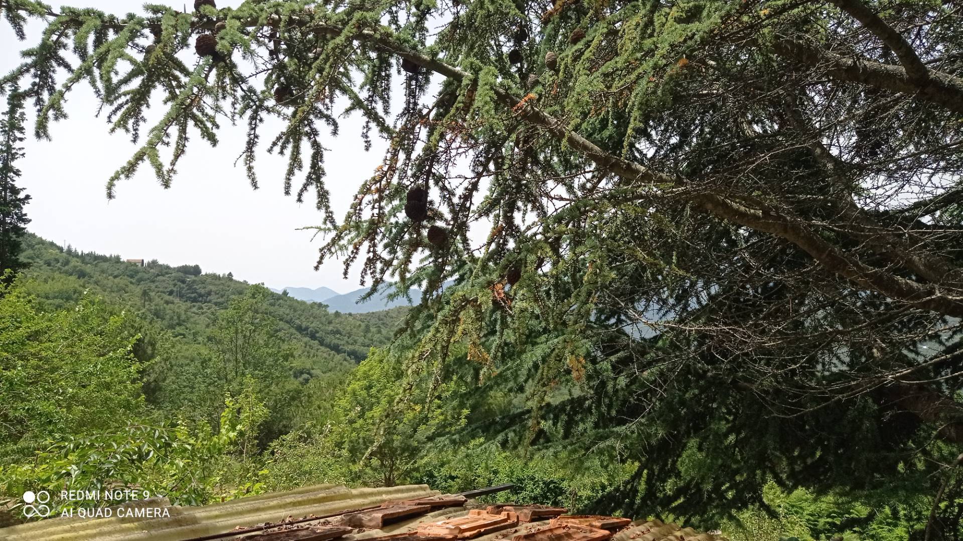 Casa indipendente in vendita a Perinaldo
