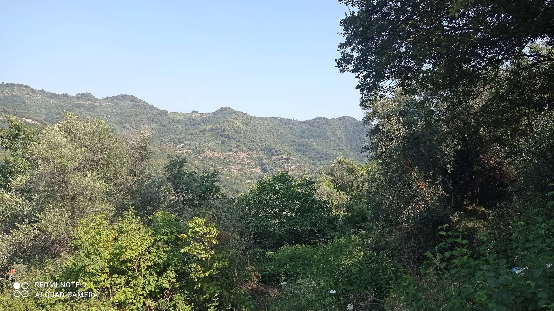 Terreno Agricolo in vendita a Dolceacqua