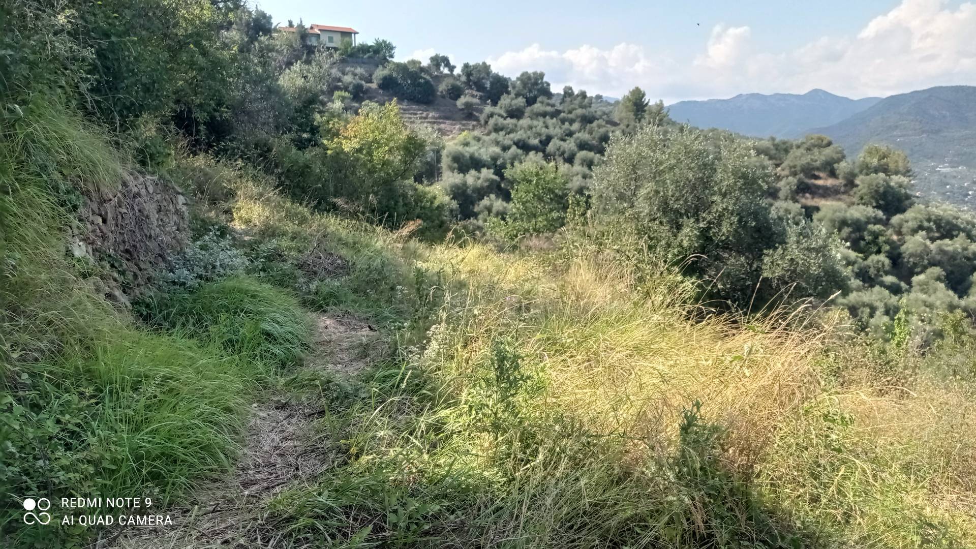 Terreno Agricolo in vendita a Dolceacqua