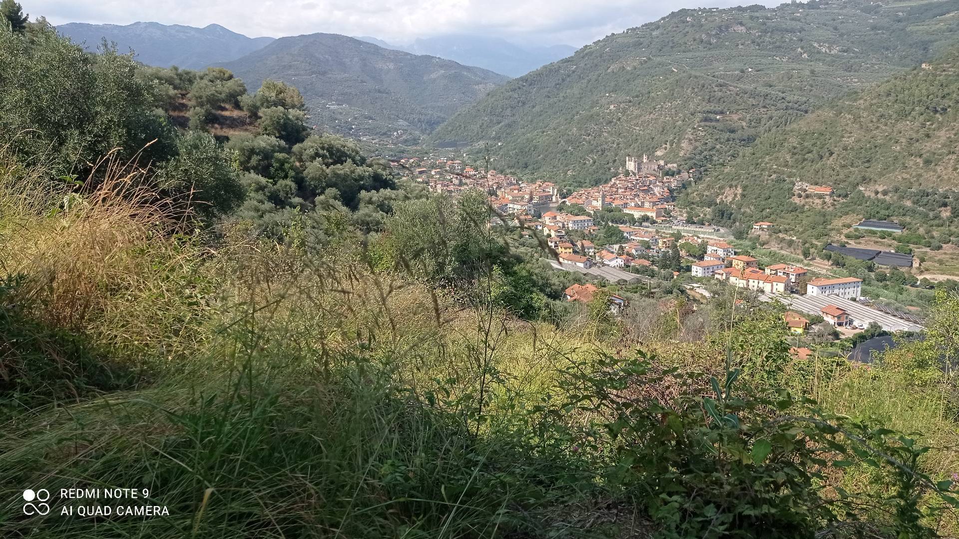 Terreno Agricolo in vendita a Dolceacqua