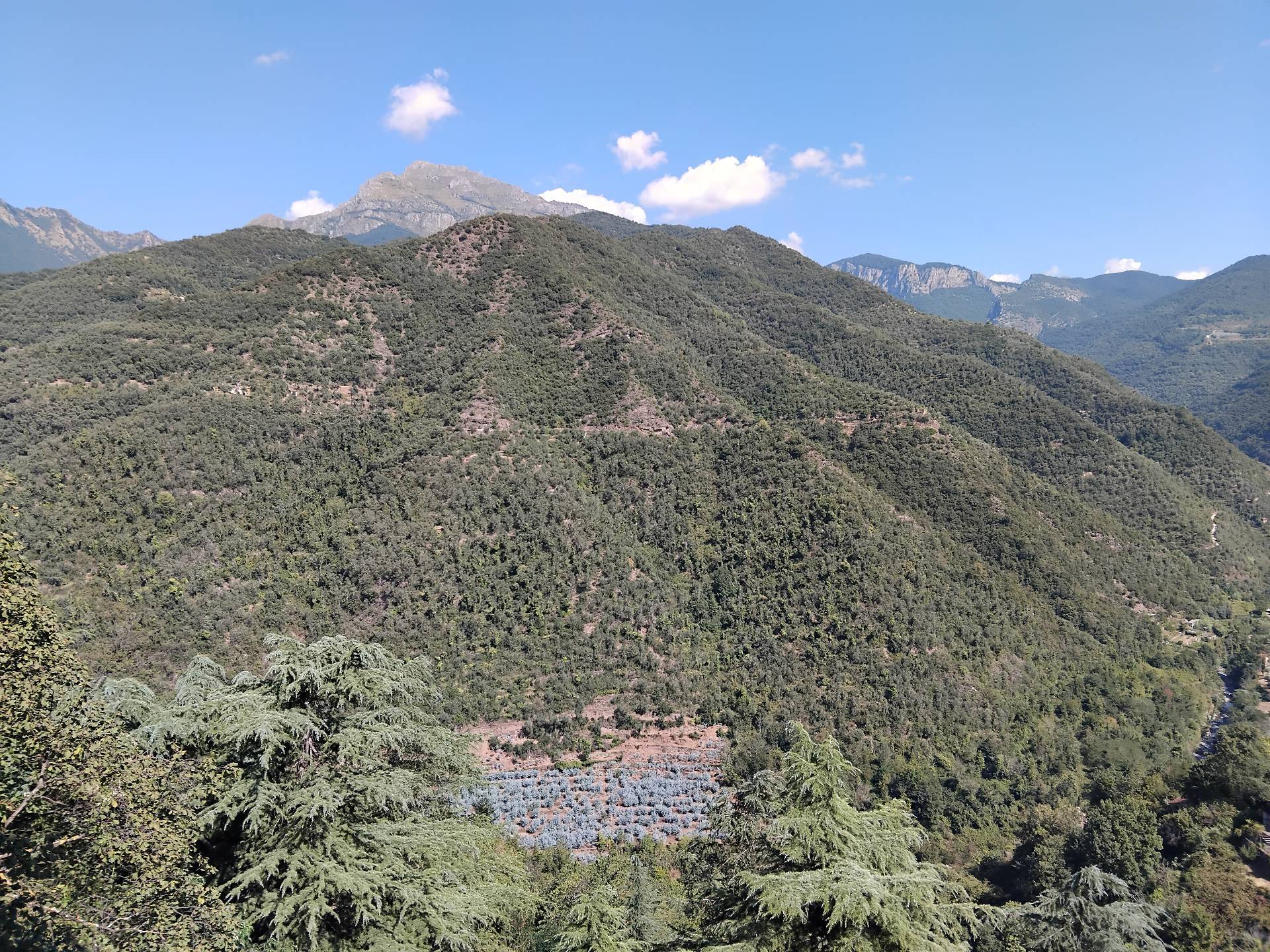 Appartamento in vendita a Castel Vittorio