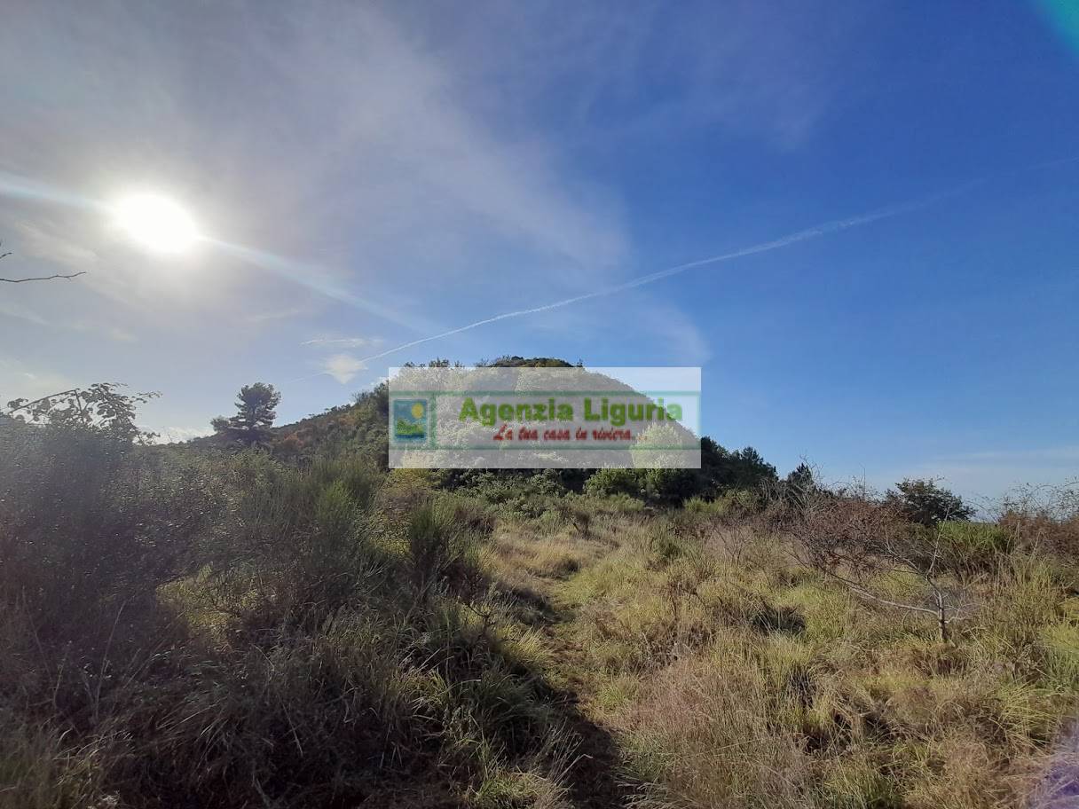 Rustico con Terreno in vendita a Dolceacqua