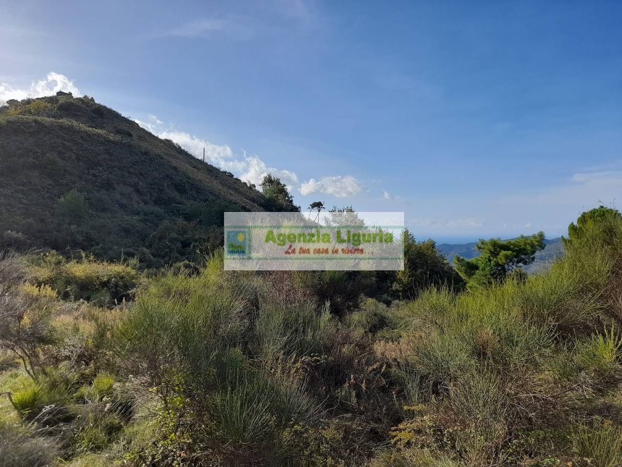 Rustico con Terreno in vendita a Dolceacqua