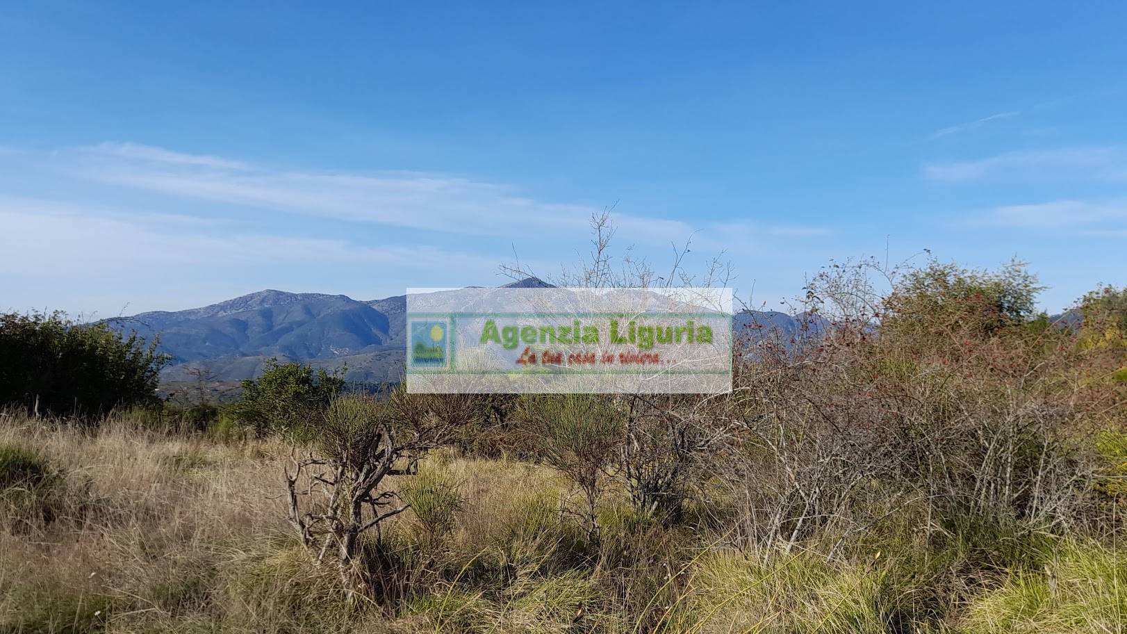 Rustico con Terreno in vendita a Dolceacqua