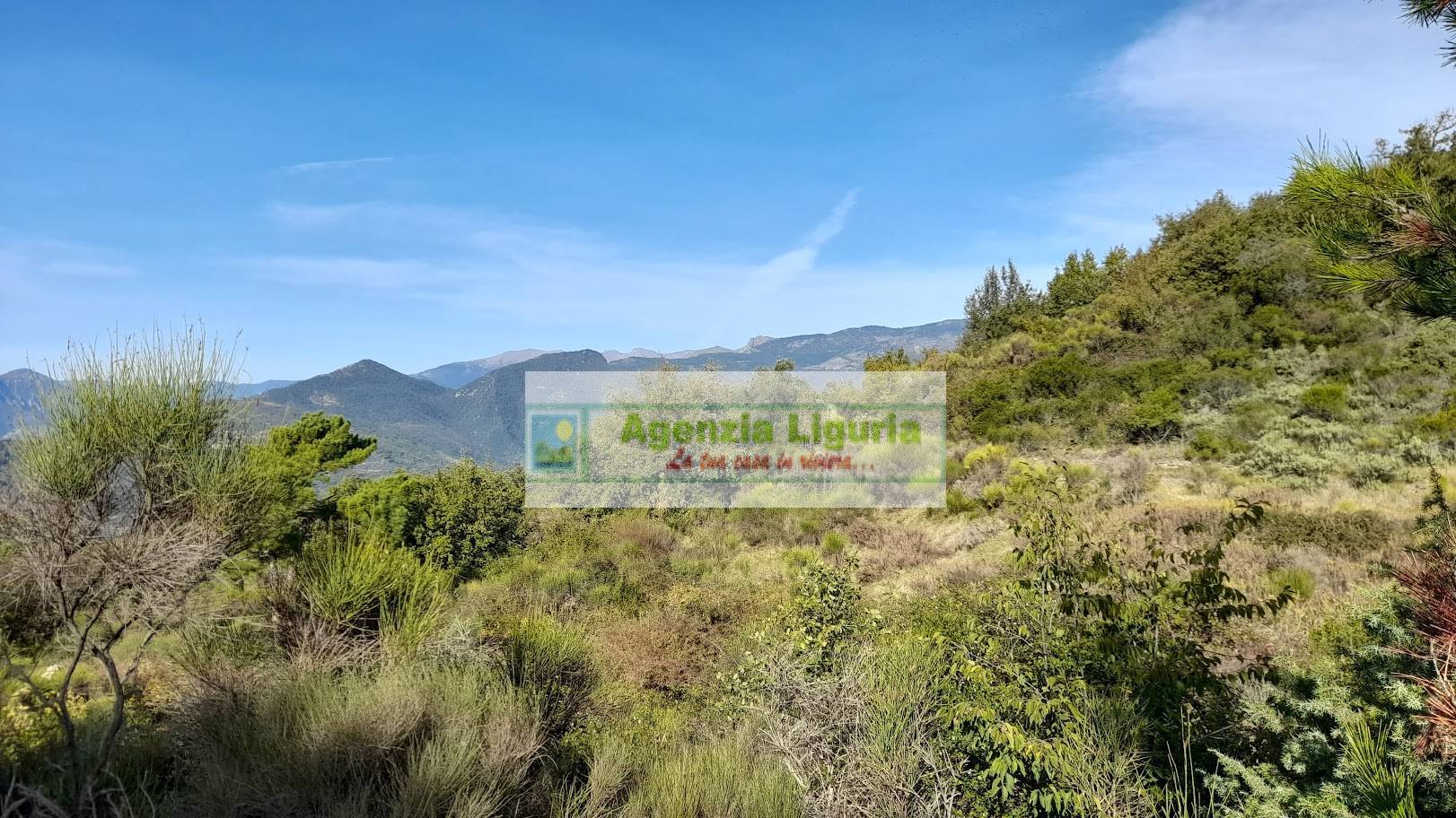 Rustico con Terreno in vendita a Dolceacqua