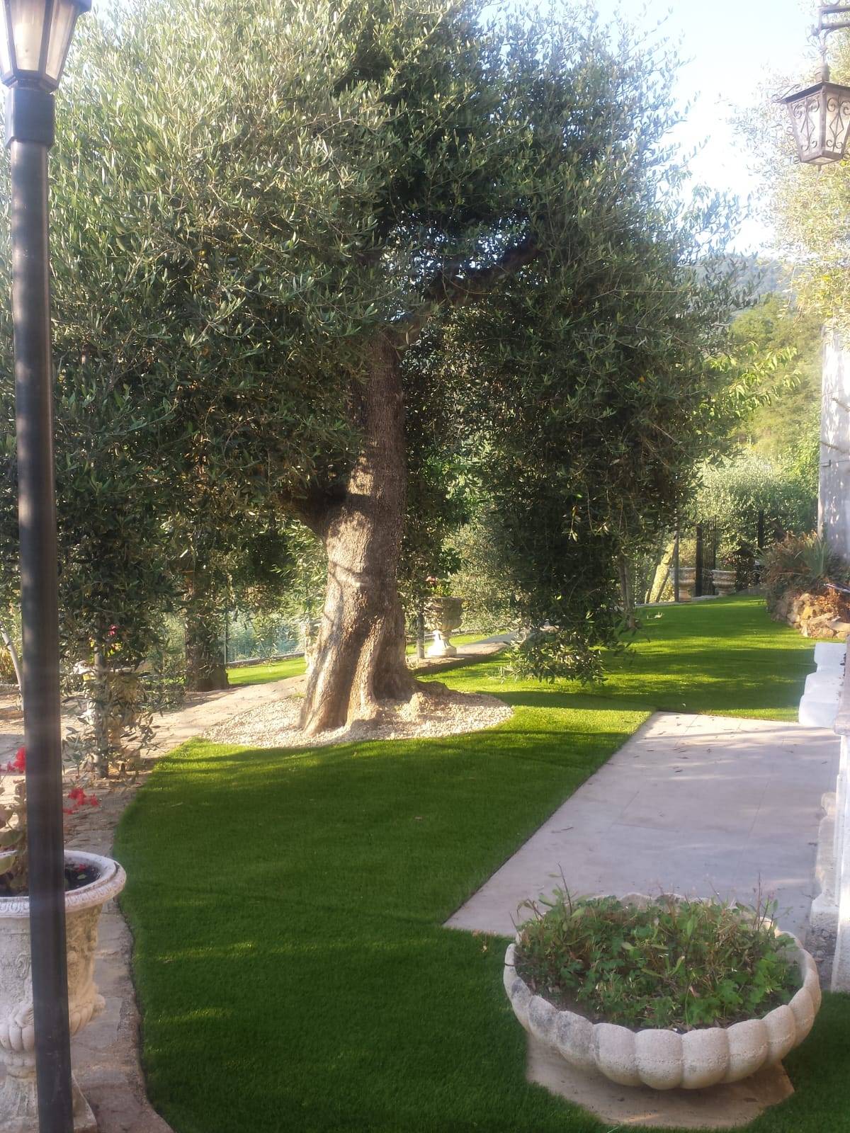 Casa indipendente in vendita a Perinaldo