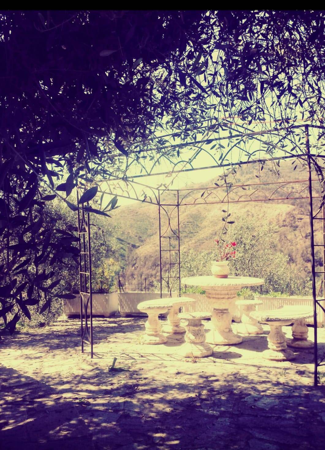 Casa indipendente in vendita a Perinaldo