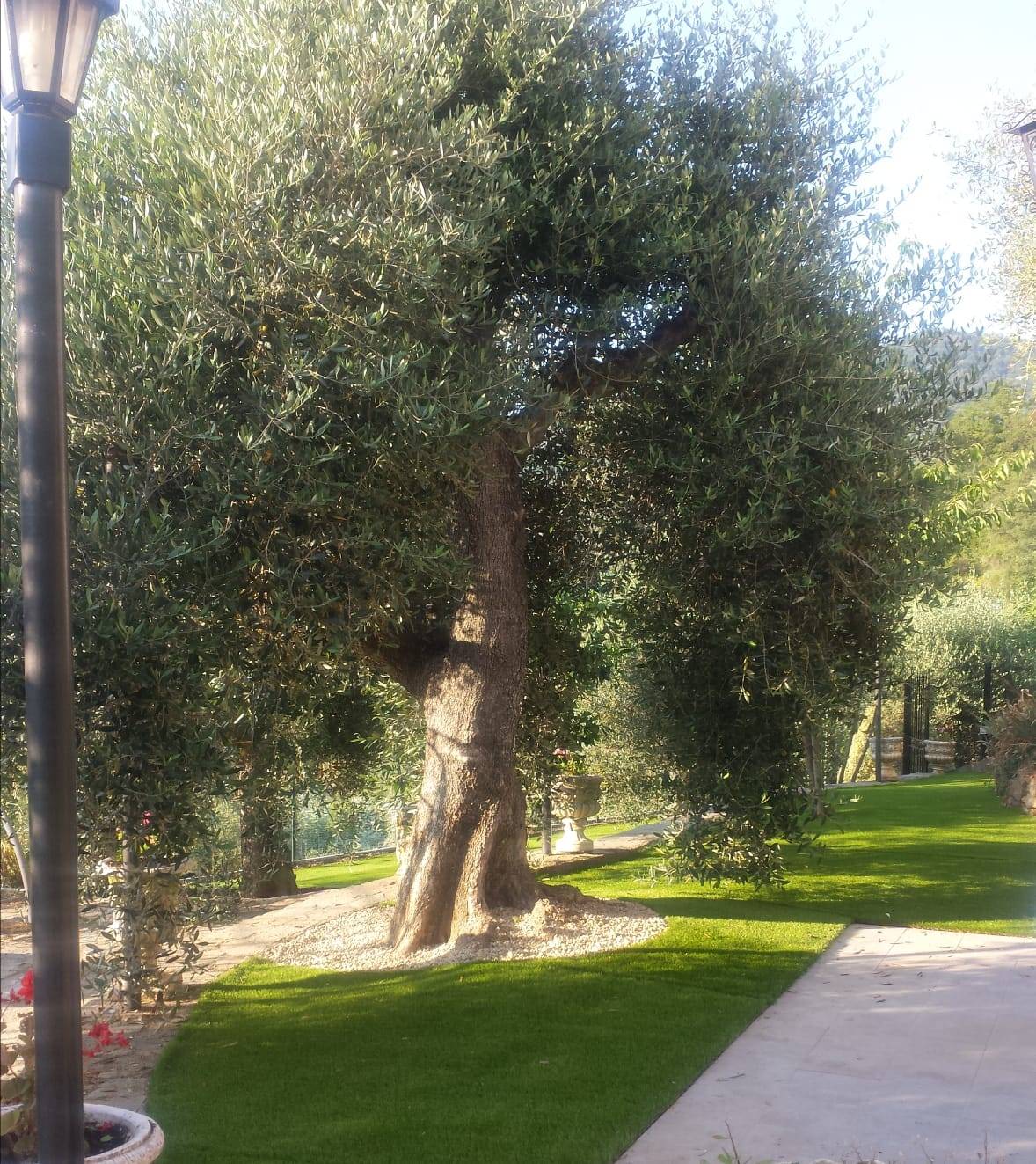 Casa indipendente in vendita a Perinaldo