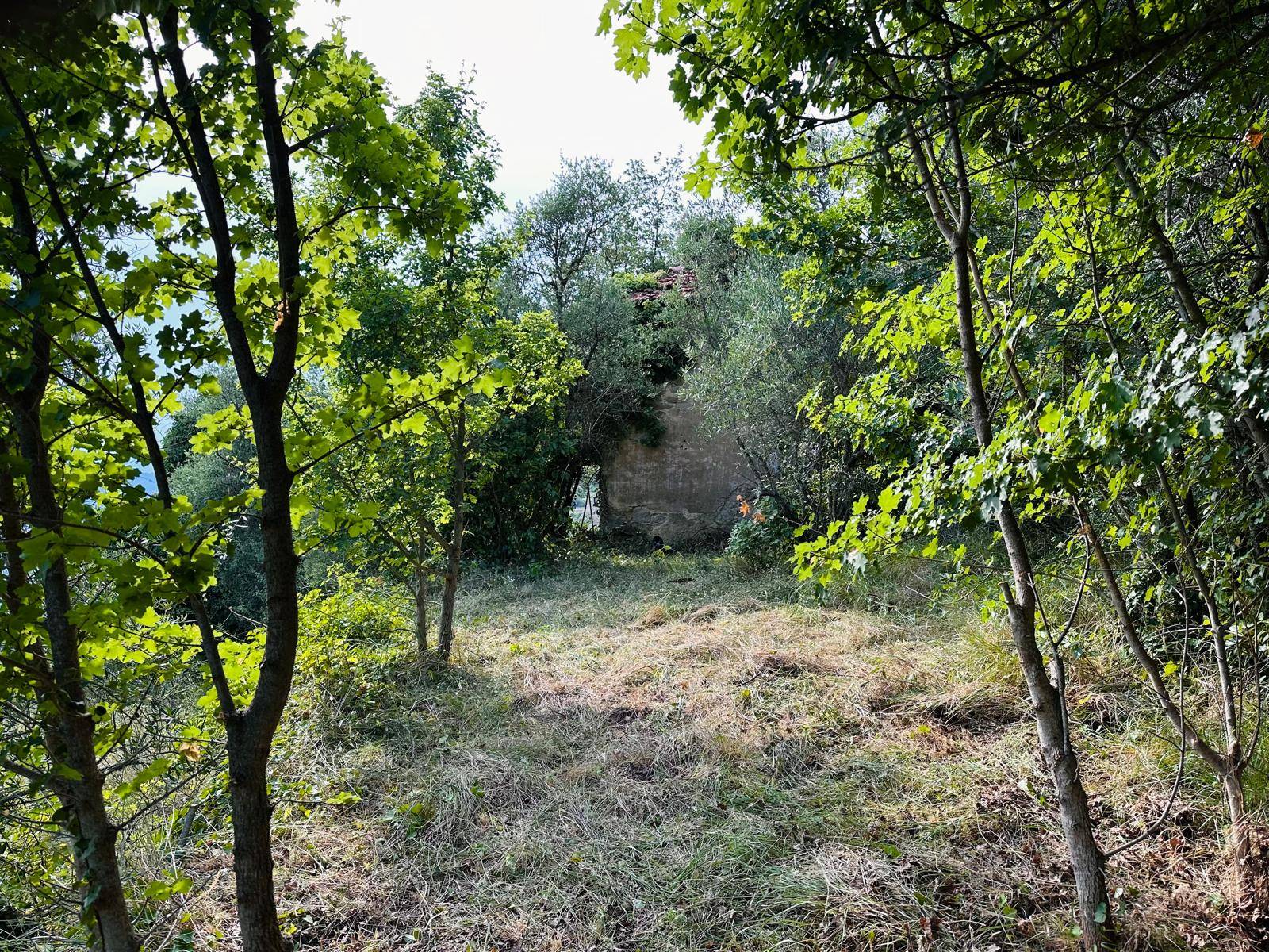 Casa indipendente in vendita a Perinaldo