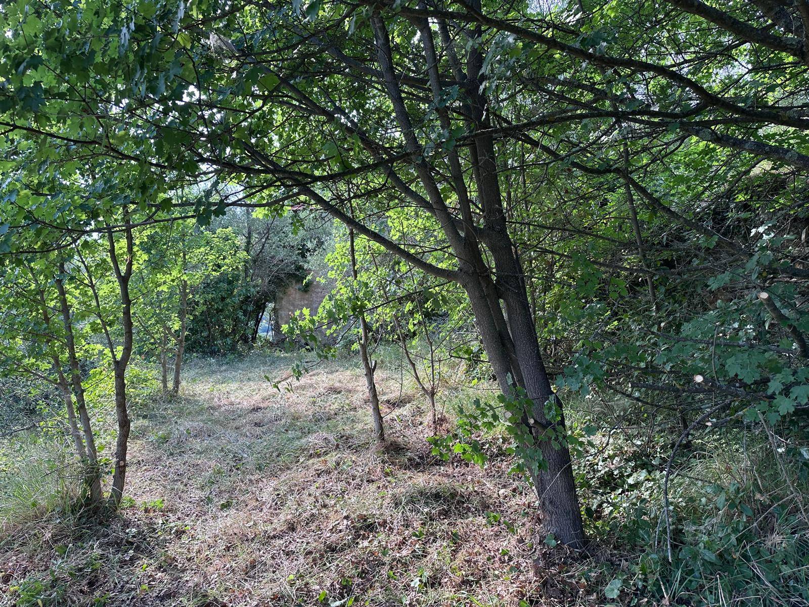Casa indipendente in vendita a Perinaldo
