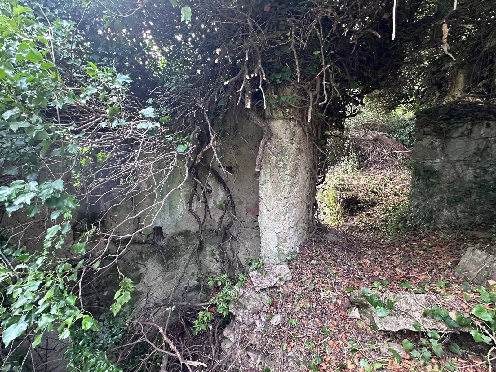 Casa indipendente in vendita a Perinaldo
