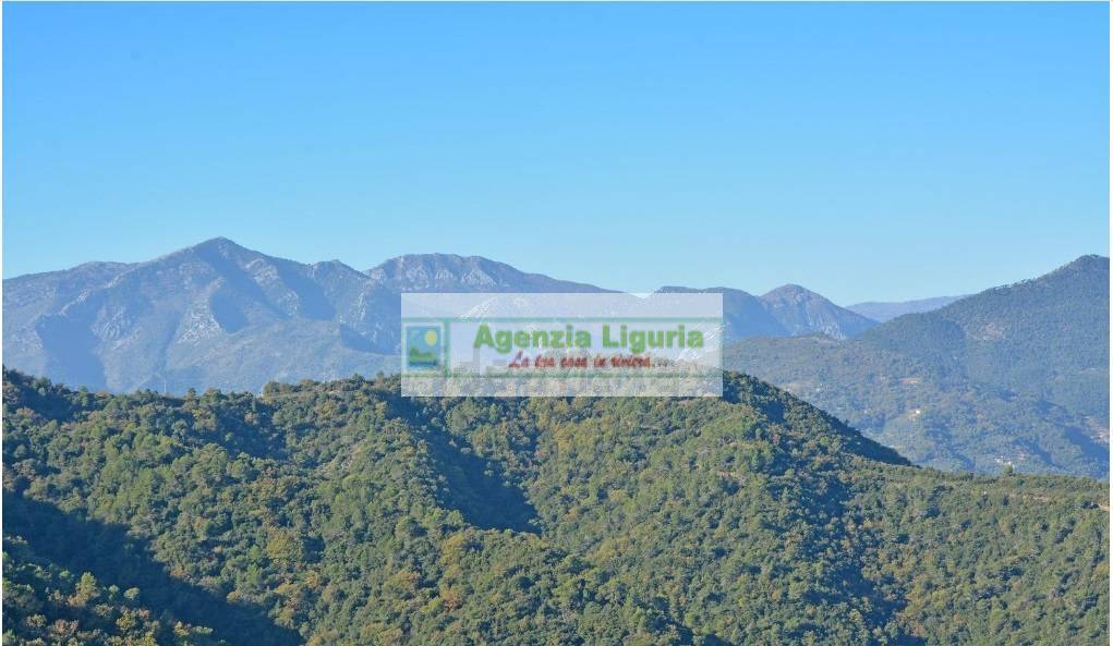 Appartamento in vendita a Perinaldo