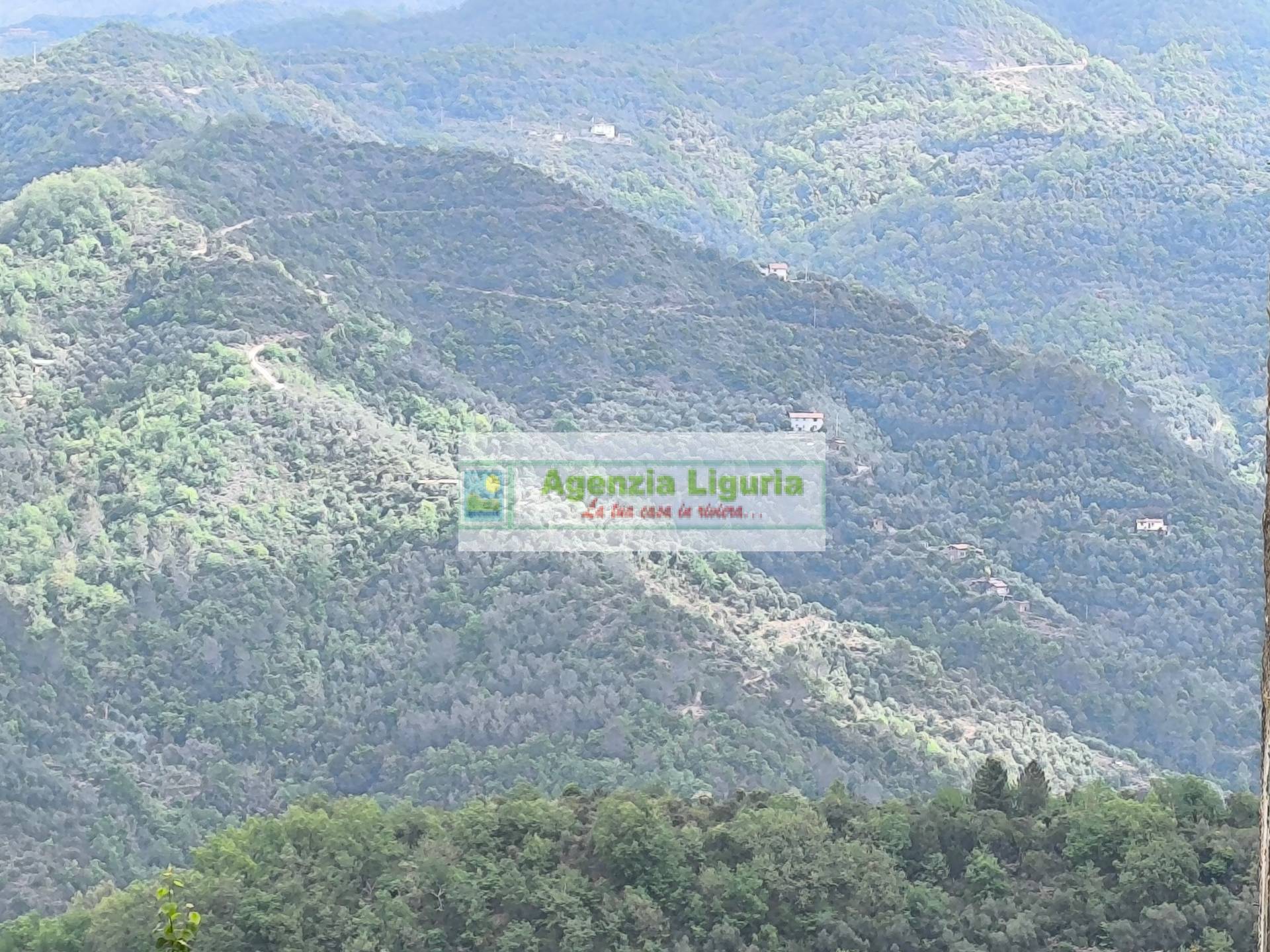 Appartamento in vendita a Perinaldo