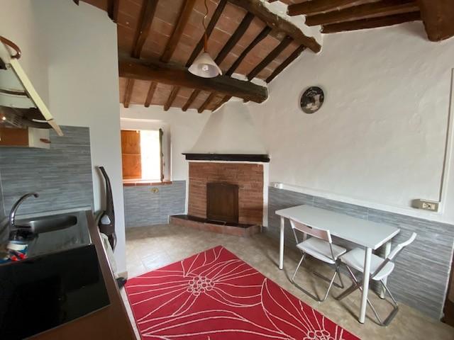 Bilocale arredato in affitto, Buti la croce