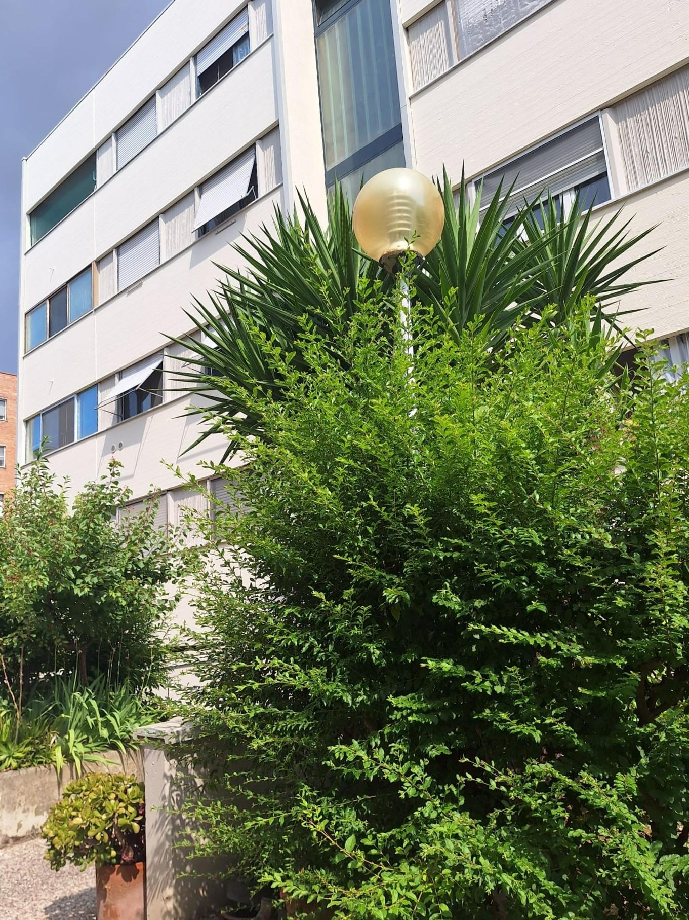 Appartamento con terrazzo, Pisa nova