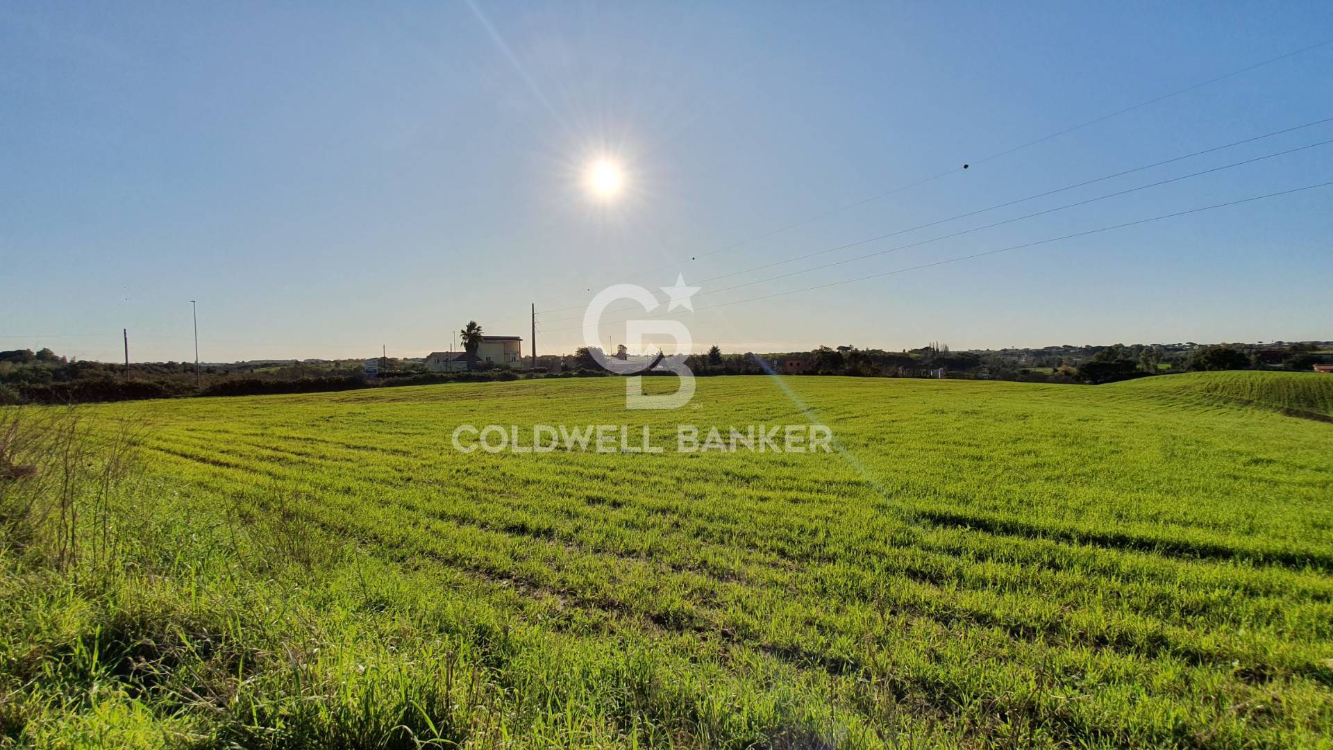 Terreno agricolo in vendita a Ardea, Castagnetta