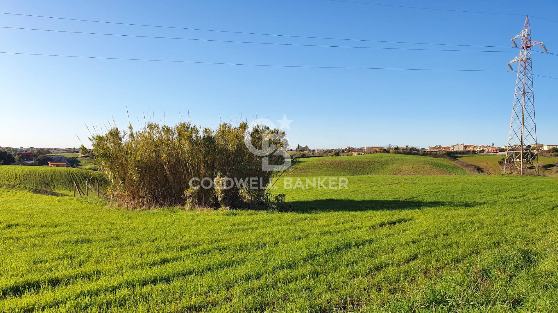Terreno agricolo in vendita a Ardea, Castagnetta
