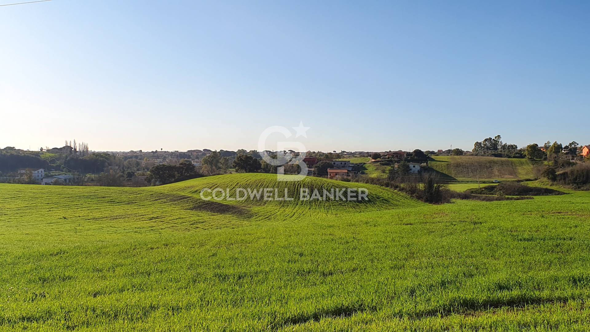 Terreno agricolo in vendita a Ardea, Castagnetta