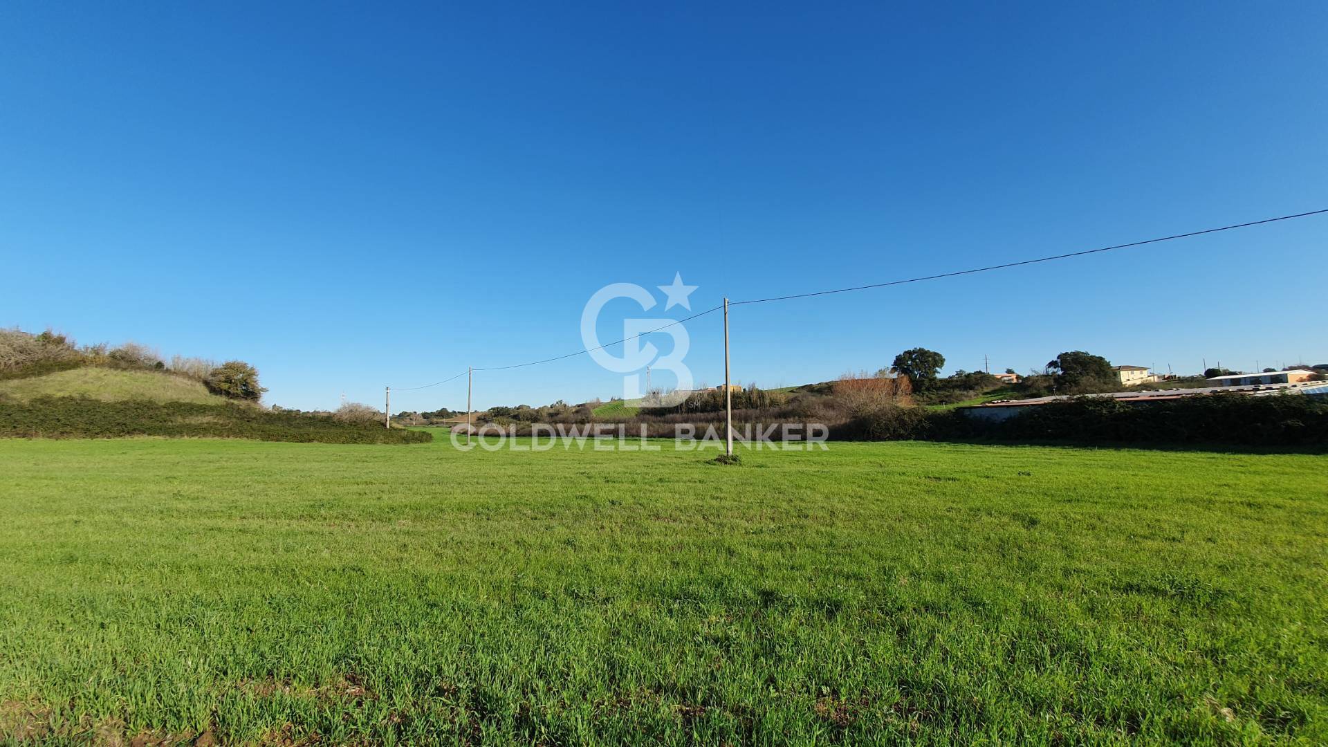 Terreno agricolo in vendita a Ardea, Castagnetta