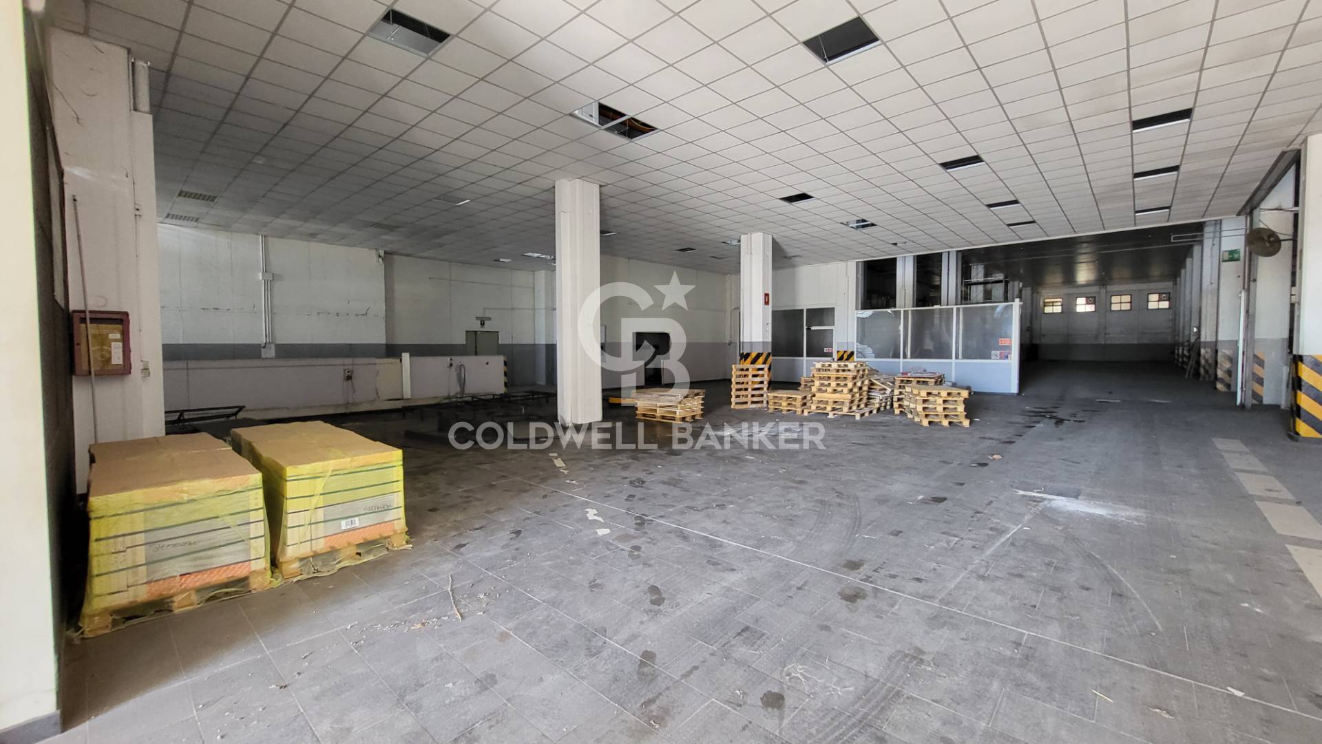 Magazzino in affitto a Pomezia, Centro