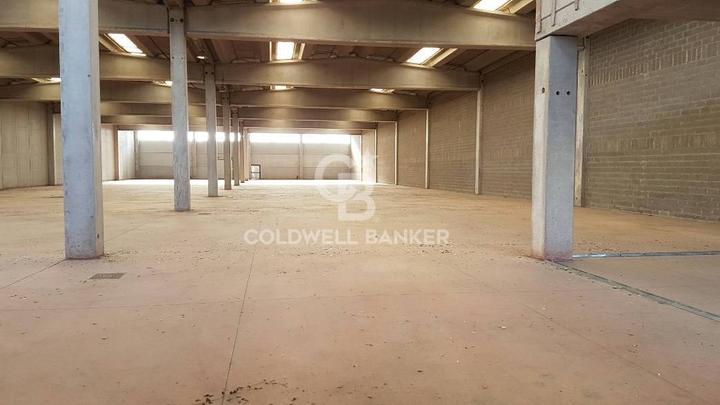 Capannone industriale in affitto a Pomezia, Centro