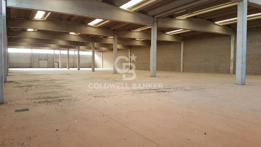 Capannone industriale in affitto a Pomezia, Centro