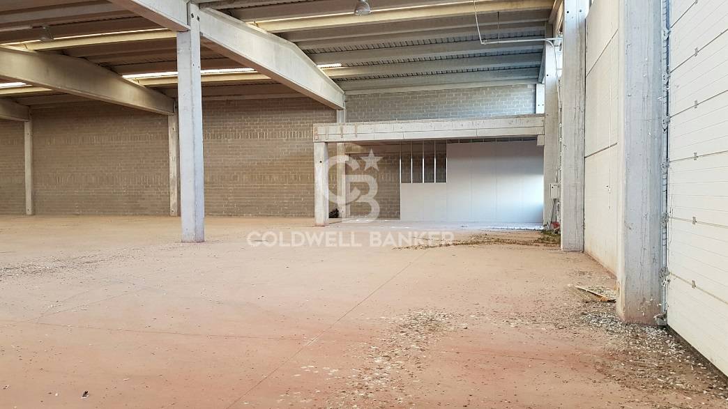 Capannone industriale in affitto a Pomezia, Centro