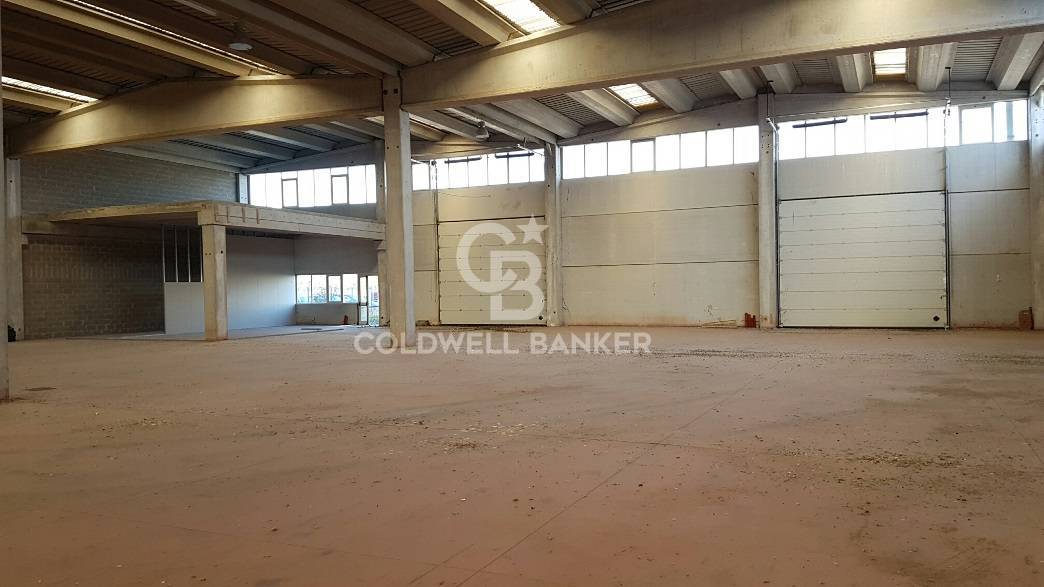 Capannone industriale in affitto a Pomezia, Centro