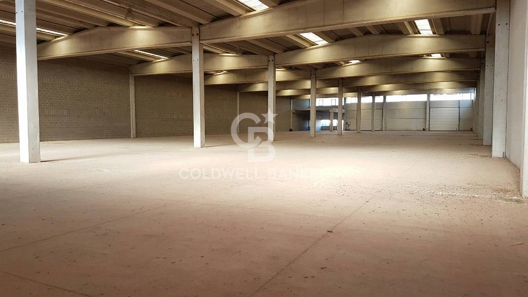 Capannone industriale in affitto a Pomezia, Centro